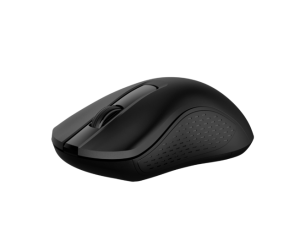 Rapoo B20 Silent Wireless Optical Mouse - Black